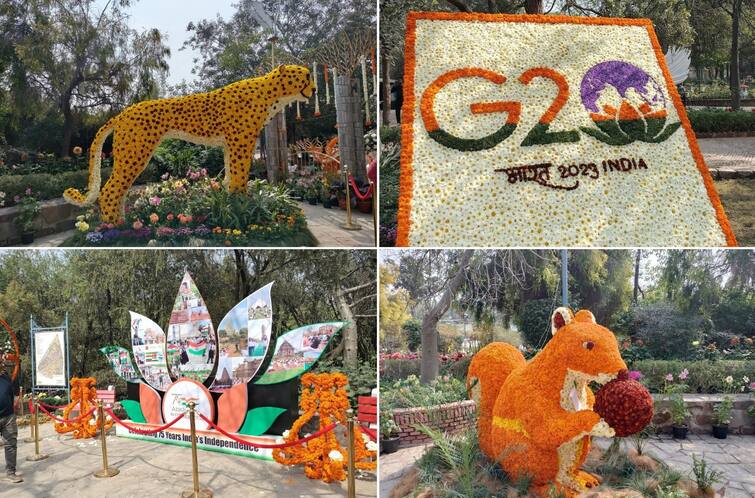 travel tourism 35th garden tourism festival in delhi garden of five senses Garden Tourism Festival : रंगीबेरंगी फुलांनी तयार केले प्राणी आणि पक्षी, गार्डन टुरिझम फेस्टिव्हलची मनाला भुरळ घालणारी झलक