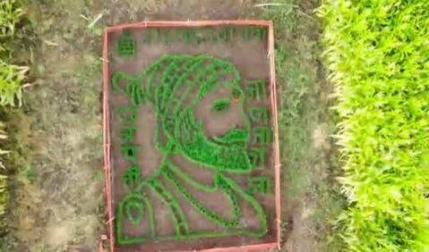 कुणाल विखे या तरुण शेतकऱ्याने गहू पीक उगवून त्यापासून छत्रपती शिवाजी महाराजांची कलाकृती साकारली आहे.