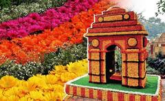 Garden Tourism Festival : रंगीबेरंगी फुलांनी तयार केले प्राणी आणि पक्षी, गार्डन टुरिझम फेस्टिव्हलची पाहा एक झलक