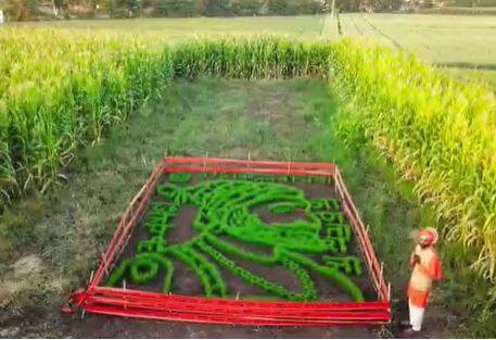 कुणाल विखे गहू पीक (wheat crop) उगवून त्यापासून छत्रपती शिवाजी महाराजांची प्रतीकृती साकारली आहे.