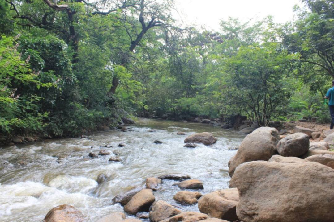 திருச்சியில் இயற்கையின் அழகை தன்னுள்கொண்டுள்ள  ஹாட்ஸ்பாட் எது தெரியுமா.. வாங்க பார்கலாம்..!