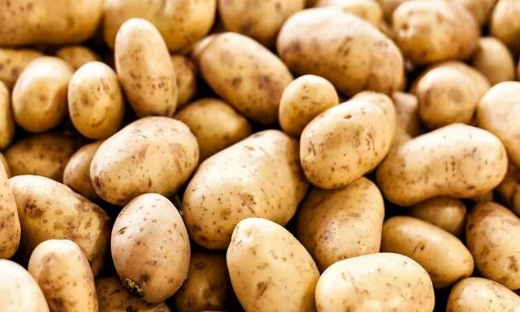 food identification real and fake potato or asal nakali aloo ki pehchan Food Identification: ਸਾਵਧਾਨ! ਬਾਜ਼ਾਰ 'ਚ ਅੰਨ੍ਹੇਵਾਹ ਵਿਕ ਰਹੇ ਹਨ ਨਕਲੀ ਆਲੂ, ਕਿਤੇ ਤੁਸੀਂ ਵੀ ਧੋਖੇ ਦਾ ਸ਼ਿਕਾਰ ਨਾ ਹੋ ਜਾਓ!