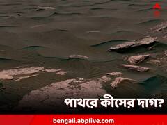 NASA Curiosity Rover: লালগ্রহের মাটিতে 'ঢেউ রহস্য'! কীভাবে? কেন?