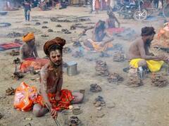 Magh Mela 2023: ਮਾਘ ਮੇਲਾ ਹੋਇਆ ਸਮਾਪਤ, 8.5 ਲੱਖ ਸ਼ਰਧਾਲੂਆਂ ਨੇ ਅੰਤਿਮ ਦਿਨ ਕੀਤਾ ਇਸ਼ਨਾਨ, ਵੇਖੋ ਸੰਗਮ ਦੀਆਂ ਇਹ ਖਾਸ ਤਸਵੀਰਾਂ