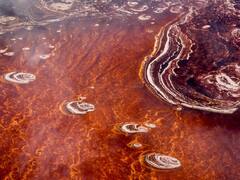 शापित है ये झील... जानवर पानी में जाते ही बन जाते हैं पत्थर की मूर्ती