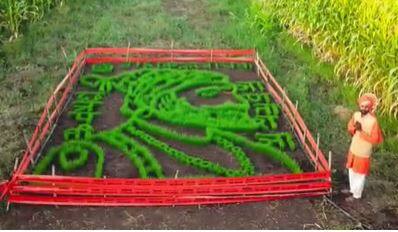 आज संपूर्ण राज्यभर छत्रपती शिवाजी महाराजांच्या जयंतीचा (Shiv Jayanti 2023) उत्साह पाहायला मिळत आहे. शिवजयंतीनिमित्त राज्यभर विविध कार्यक्रमांचं आयोजन करण्यात आलं आहे.