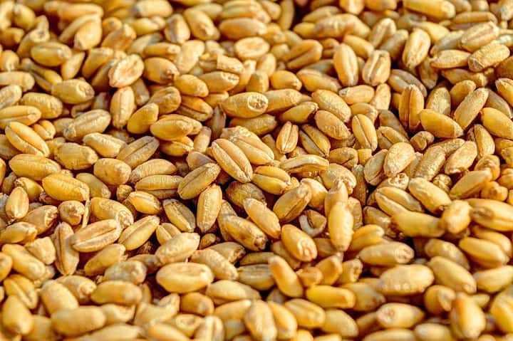 Wheat Price: FCI will sell wheat again in the open market, bidding will be done for the third e-auction on February 22 Wheat Price: ઘઉં અને લોટના ભાવને અંકુશમાં લેવા સરકારનું મોટું પગલું, 22 ફેબ્રુઆરીએ કરશે આ કામ