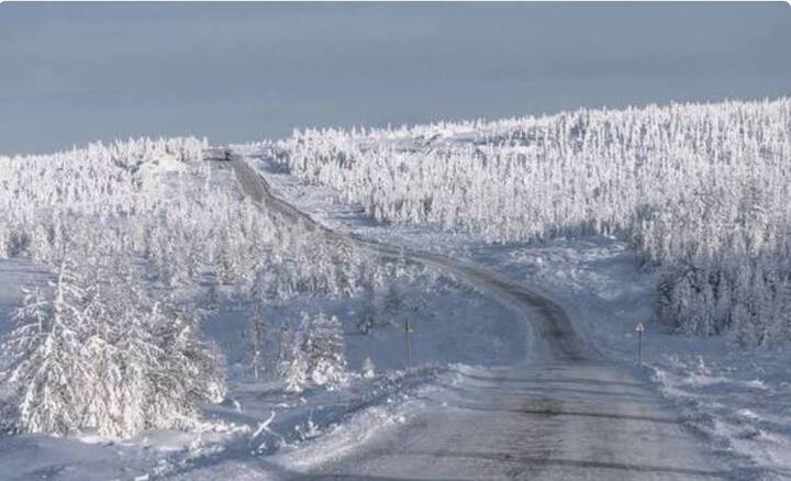 ਕੋਲਿਮਾ ਕੈਂਪ ਵਿੱਚ ਗਏ ਕੈਦੀ ਲਈ ਉੱਥੋਂ ਵਾਪਸ ਆਉਣਾ ਅਸੰਭਵ ਸੀ। ਜੇ ਕੋਈ ਇੱਥੋਂ ਭੱਜਣ ਦੀ ਕੋਸ਼ਿਸ਼ ਵੀ ਕਰਦਾ ਤਾਂ ਉਹ ਜ਼ਿਆਦਾ ਦੇਰ ਤੱਕ ਜੀਉਂਦਾ ਨਹੀਂ ਰਹਿ ਸਕਦਾ ਸੀ ਕਿਉਂਕਿ ਜਾਂ ਤਾਂ ਉਹ ਰਿੱਛਾਂ ਦਾ ਸ਼ਿਕਾਰ ਹੋ ਜਾਂਦਾ ਸੀ ਜਾਂ ਫਿਰ ਅੱਤ ਦੀ ਠੰਢ ਅਤੇ ਭੁੱਖ ਨਾਲ ਮਰ ਜਾਂਦਾ ਸੀ। ਮਰਨ ਵਾਲੇ ਕੈਦੀਆਂ ਨੂੰ ਸੜਕ ਦੇ ਅੰਦਰ ਹੀ ਦੱਬ ਦਿੱਤਾ ਗਿਆ।