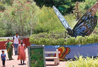 Trichy travel news butterfly park that appeals to everyone from kids to adults TNN திருச்சி: குழந்தைகள் முதல் பெரியோர் வரை அனைவரின் மனைதை கவரும் வண்ணத்துப்பூச்சி பூங்கா