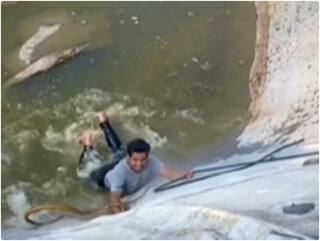 Video: जान जोखिम में डाल कर शख्स ने किया सांप का रेस्क्यू, रोंगटे खड़े कर देगा मंजर