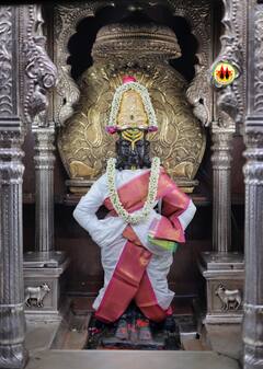 विठ्ठल... विठ्ठल... माऊलींच्या गाभाऱ्याला द्राक्षांची आरास; महाशिवरात्रीनिमित्त जलाभिषेक