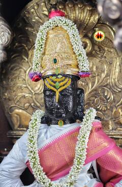 विठ्ठल... विठ्ठल... माऊलींच्या गाभाऱ्याला द्राक्षांची आरास; महाशिवरात्रीनिमित्त जलाभिषेक