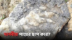 সমুদ্রতটে বড় বড় পায়ের ছাপ, ডাইনোসরের না অন্য কোনও দানবীয় প্রাণীর?
