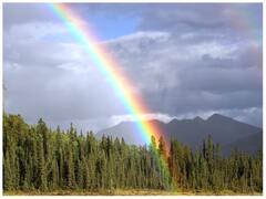 कभी-कभी आसमान में दो-दो इंद्रधनुष दिखाई देते हैं, समझिए ऐसा क्यों होता है