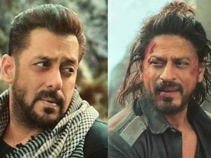 Pathan return the favor of Tiger Shahrukh Khan-Salman Khan fans will jump with joy knowing the truth टाइगर का एहसान लौटाएंगे पठान? सच्चाई जानकर शाहरुख-सलमान के फैंस खुशी से झूम उठेंगे