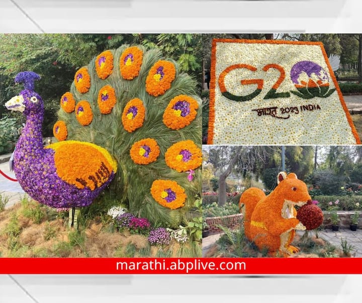 Garden Tourism Festival Delhi : 35व्या गार्डन टुरिझम फेस्टिव्हलचे उद्घाटन करण्यात आलं आहे. या बागेत फुलं आणि पानांपासून तयार केलेल्या विविध कलाकृती प्रदर्शनासाठी ठेवण्यात आल्या आहेत.