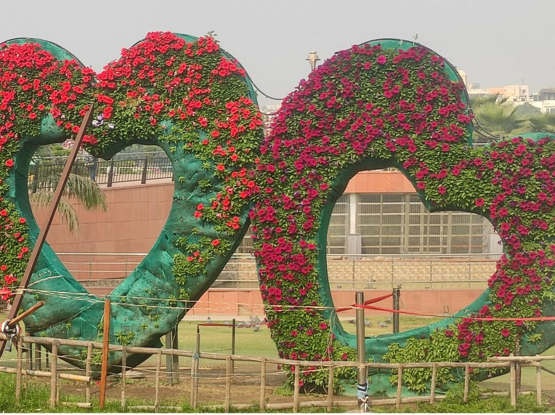 Tulip Festival bouquet of colorful flowers became center of attraction in Central Park in Delhi ANN Delhi Tulip Festival: सेंट्रल पार्क में रंग-बिरंगे फूलों का गुलदस्ता बना आकर्षण का केंद्र, लोग कैमरे में कैद कर रहे तस्वीरें