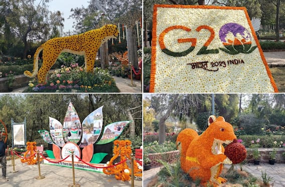 Garden Tourism Festival : रंगीबेरंगी फुलांनी तयार केले प्राणी आणि पक्षी, गार्डन टुरिझम फेस्टिव्हलची पाहा एक झलक