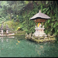 Amala Paul:’தண்ணீருக்குள் இருந்து எழுந்து வந்த தேவதையாக அமலா பால்..’ ஆடை நாயகியின் அட்டகாச க்ளிக்ஸ்!