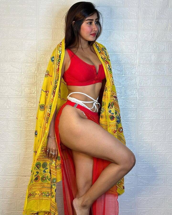 ઈન્ટરનેટ મીડિયા સ્ટાર સોફિયા અંસારીને આજે કોણ નથી ઓળખતું.