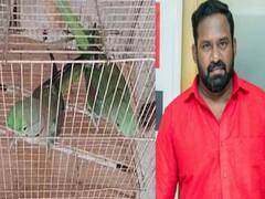 Robo Shankar : கிளி வளர்ப்பு விவகாரம்.. நடிகர் ரோபோ சங்கருக்கு ரூ.2.50 லட்சம் அபராதம்..