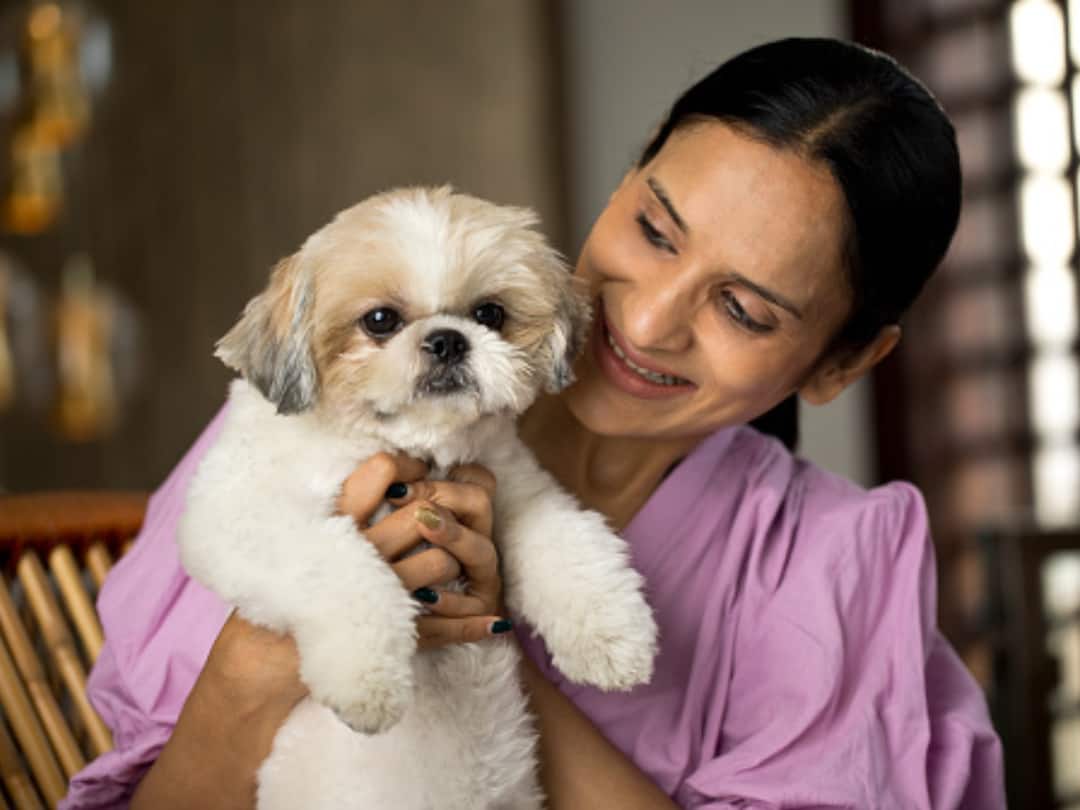 Tips For New Pet Parents Before You Go Shopping For Your Furry Members Tips For New Pet Parents Before You Go Shopping For Your Furry Members Tips For New Pet Parents Before You Go Shopping For Your Furry Members