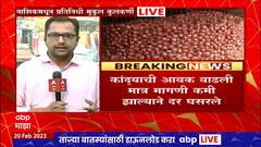 Nashik Onion : कांद्यामुळे बळीराजाच्या डोळ्यात पाणी, दर घसरल्यानं शेतकरी हवालदिल