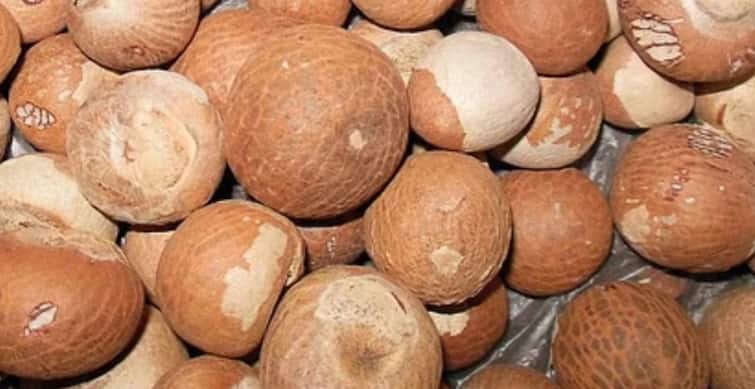 Maharashtra Nashik News Succeeded in stopping smuggling of betel nuts worth Rs 2.5 crore Nashik Crime : सुक्या खजुराच्या नावाखाली अडीच कोटींच्या सुपारीची तस्करी; नाशिकच्या विमानतळाजवळ कारवाई