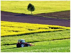 आखिर ट्रैक्टर में आगे के टायर छोटे और पीछे के टायर बड़े क्यों होते हैं? ये है इसका कारण