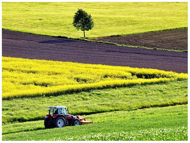 Tractor: खेती में ट्रैक्टर के महत्व को किसान बहुत अच्छे से समझते हैं. आपने भी ट्रैक्टर देखा होगा, लेकिन क्या कभी सोचा है कि इसकी बनावट बाकी वाहनों से अलग क्यों होती है?