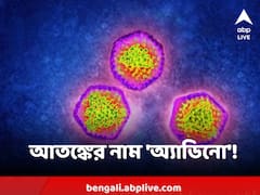 'অ্যাম্বুলেন্সে গিয়েও রোগী দেখতে হচ্ছে', অ্যাডিনোভাইরাসের আক্রমণ থেকে রেহাই পাচ্ছেন না প্রাপ্তবয়স্করাও