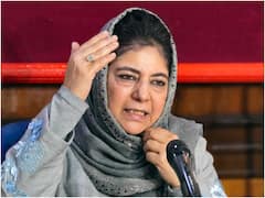 Won't Fight Elections Till Article 370 Is Restored In Jammu & Kashmir: Mehbooba Mufti