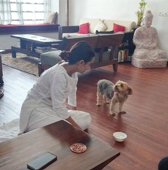 घर के लिविंग एरिया में एक बुद्ध की मूर्ति भी लगाई गई है. जो घर में शांति और सुकून लाती है.