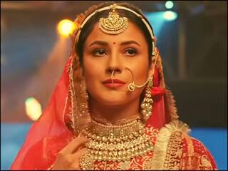 Shehnaaz Gill On Wedding: શહેનાઝ ગિલ નથી કરવા માંગતી લગ્ન, જાણો શું કહ્યું અભિનેત્રીએ..?