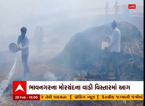 Bhavnagar: દોઢ વિગામાં આગ લાગી જતા ખેડૂતનો પાક બળીને થયો ખાખ, Watch Video