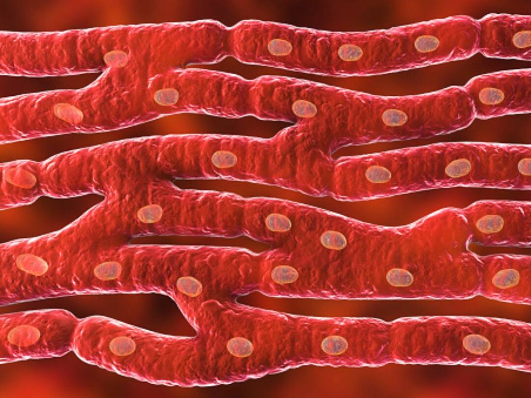 Special Protein Toolbox Developed By IIT Guwahati
