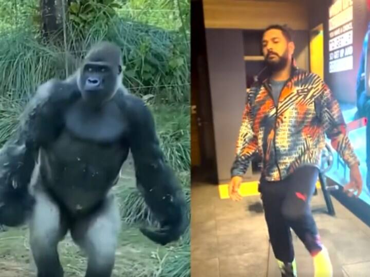 VIDEO: Yuvraj Singh copied the warm-up style of 'Gorilla', you will not be  able to stop laughing after watching the funny video – Jsnewstimes