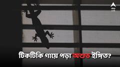 Vastu For Money: আচমকা গায়ে টিকটিকি পড়েছে? কীসের ইঙ্গিত?