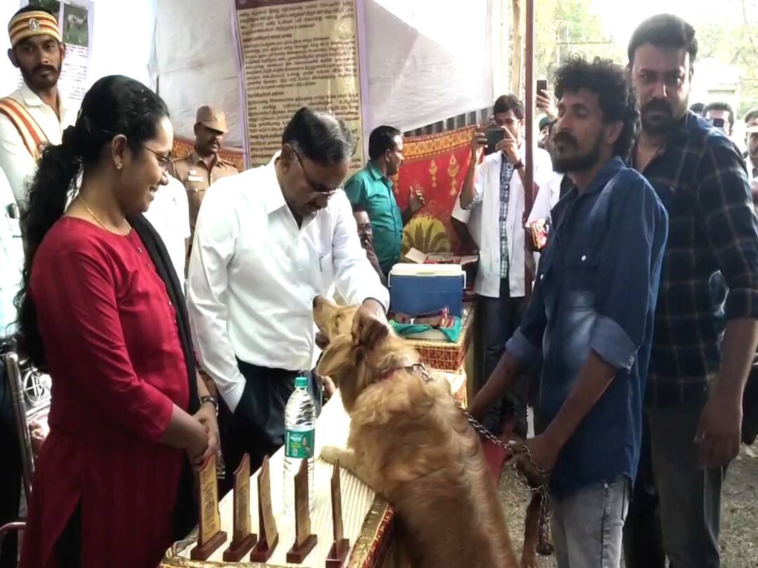 Mayiladuthurai: நாய்களிடம் போட்டி போட்டுக்கொண்டு அன்பு செலுத்திய ஆட்சியர், எஸ்.பி., Mayiladuthurai news First dog show held in Mayiladuthurai district TNN Mayiladuthurai: நாய்களிடம் போட்டி போட்டுக்கொண்டு அன்பு செலுத்திய ஆட்சியர், எஸ்.பி.,