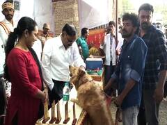 Mayiladuthurai: நாய்களிடம் போட்டி போட்டுக்கொண்டு அன்பு செலுத்திய ஆட்சியர், எஸ்.பி.,