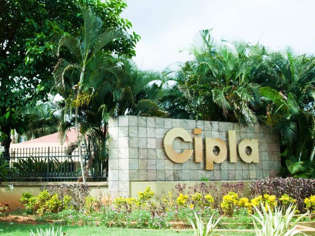 Cipla stocks dive to 7-month low; here’s why bears uling counter, check details Cipla stock: ఎలుగుల పంజాలో సిప్లా షేర్లు విలవిల - 7 నెలల కనిష్టానికి పతనం