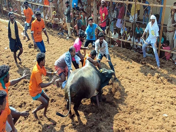 திண்டுக்கல்: சாணார்பட்டி அருகே தவசிமடை ஜல்லிக்கட்டில் சீறிப்பாய்ந்த காளைகள்