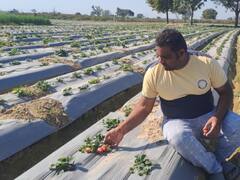 इटावा के बीएड पास युवक ने नौकरी की तलाश छोड़ शुरू किया ये काम, अब दूसरों को दे रहे गुरू मंत्र
