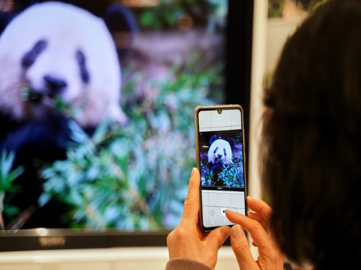 Meet The Japanese Man Who Visited Zoo For 12 Years Just To Click Panda Pictures Everyday