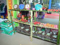 कमाल का है सरगुजा की महिलाओं का ये बिजनेस आइडिया, कमाई जानकर आप भी हो जाएंगे हैरान