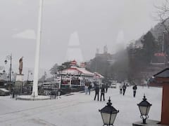 Severe Hailstorm Lashes Shimla, Traffic Affected Due To Low Visibility. In Pics