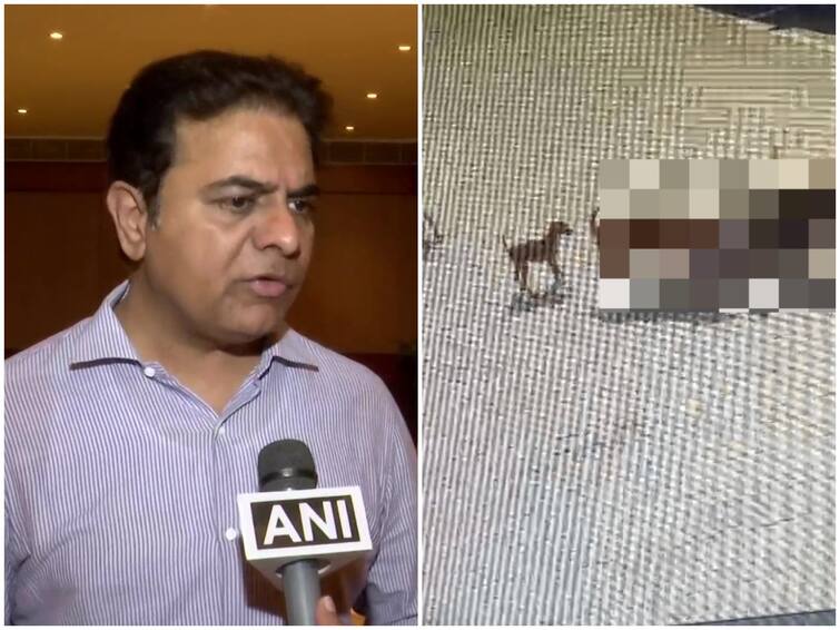 Hyderabad Minister KTR respond on Street dogs attack on boy incident take necessary actions Minister KTR :  వీధికుక్కల దాడిలో బాలుడు మృతి ఘటన తీవ్రంగా కలచివేసింది- మంత్రి కేటీఆర్