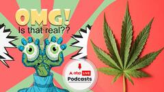 Expert Weed Smokers Needed: A German company's brings out a strange vacancy | OMG! Is That Real? Ep-98