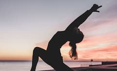 Best Time for Exercise: সকাল না বিকেল, দিনের কোন সময় শরীরচর্চা করলে মিলবে সুফল