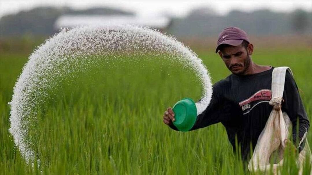 NANO DAP: Central government has prepared more than 6 crore nano urea bottles, will soon be available for farmers NANO DAP: ਕੇਂਦਰ ਸਰਕਾਰ ਨੇ ਤਿਆਰ ਕੀਤੀਆਂ 6 ਕਰੋੜ ਤੋਂ ਵੱਧ ਨੈਨੋ ਯੂਰੀਆ ਦੀਆਂ ਬੋਤਲਾਂ, ਜਲਦ ਹੀ ਕਿਸਾਨਾਂ ਲਈ ਹੋਣਗੀਆਂ ਉਪਲੱਬਧ